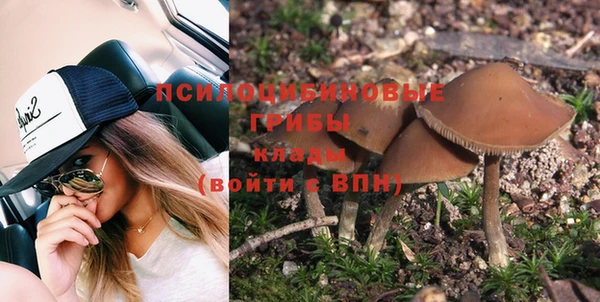 PSILOCYBIN Бородино