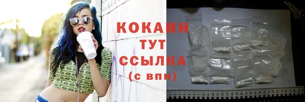 гашик Бронницы