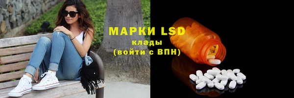 PSILOCYBIN Бородино