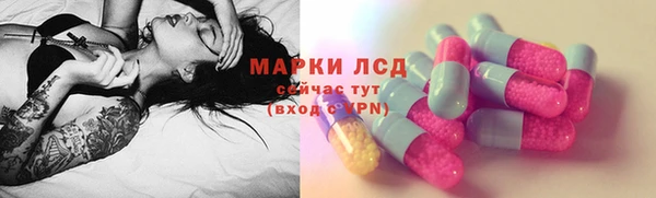PSILOCYBIN Бородино