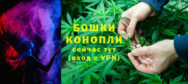 гашик Бронницы