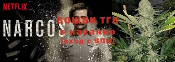 гашик Бронницы