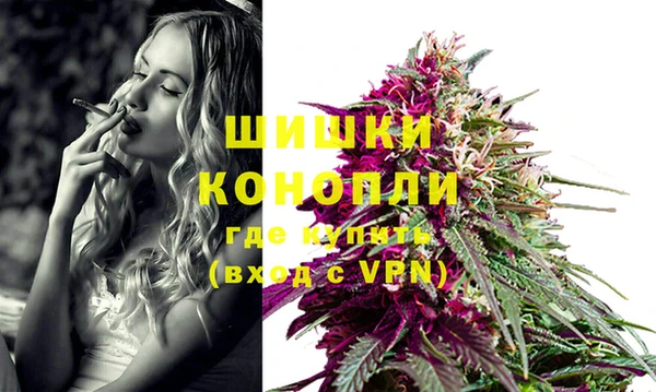 гашик Бронницы